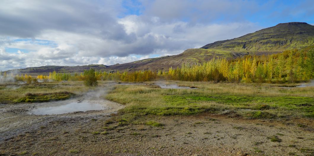 dampfende Quellen in einer Wiese in Island
